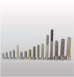 Core Screw  圆柱头专用螺栓